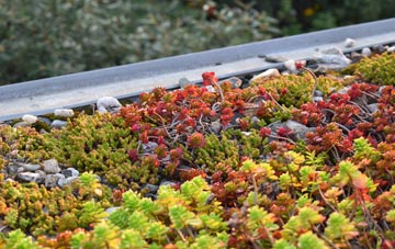 the cost of Hellingly green roof installation